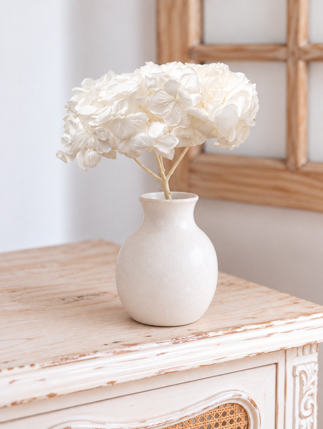 Hortensia stabilisé blanc (env 40gr.)