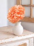 Hortensia stabilisé pêche (env 40gr.)