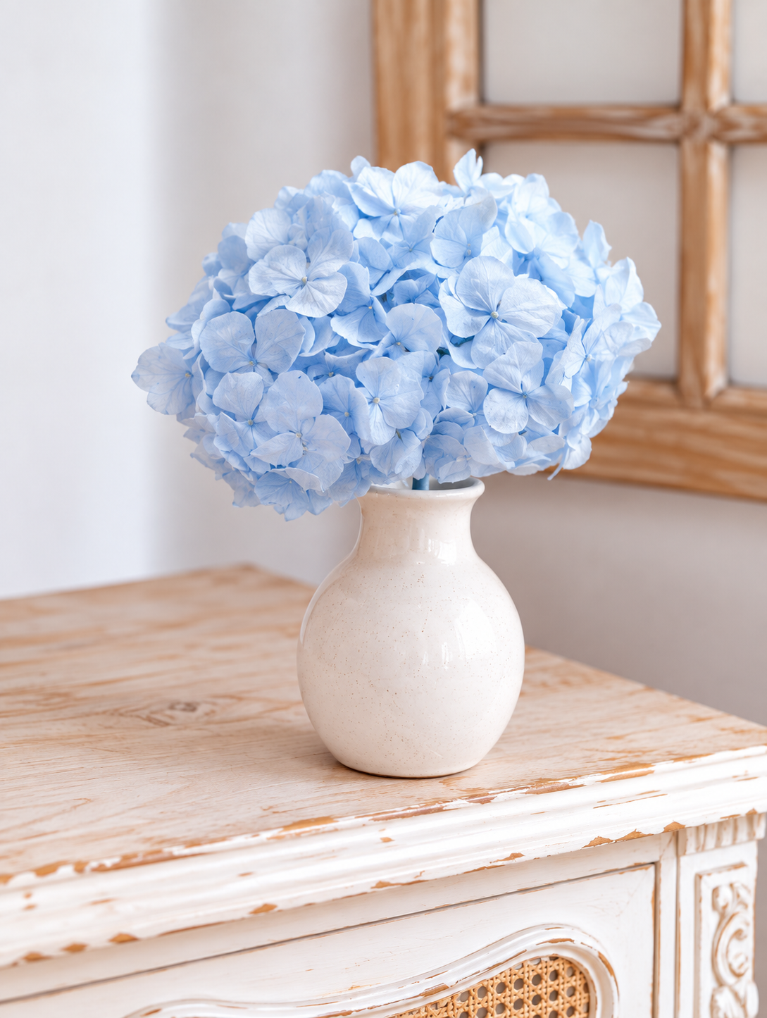 Hortensia stabilisé bleu (env 40gr.)